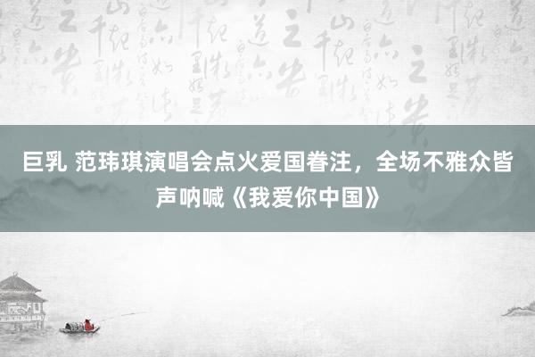 巨乳 范玮琪演唱会点火爱国眷注，全场不雅众皆声呐喊《我爱你中国》