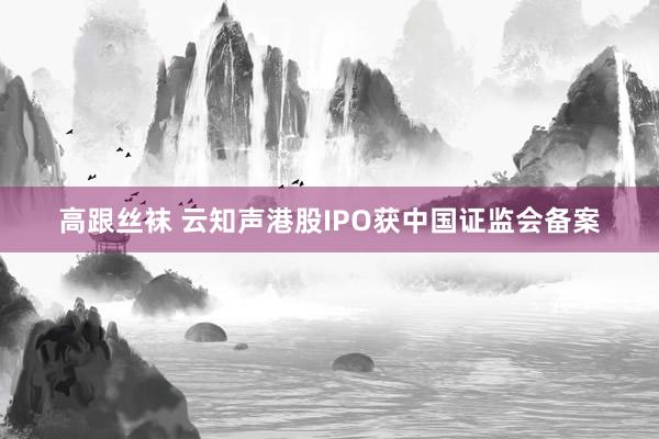 高跟丝袜 云知声港股IPO获中国证监会备案