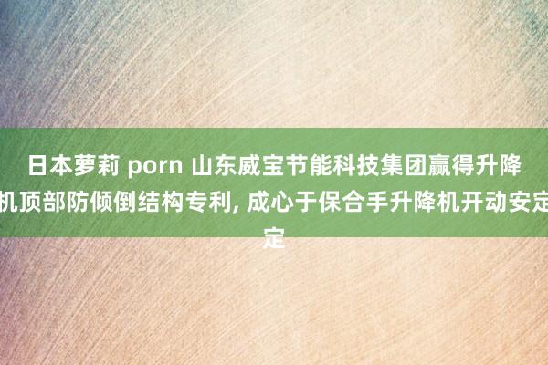 日本萝莉 porn 山东威宝节能科技集团赢得升降机顶部防倾倒结构专利， 成心于保合手升降机开动安定