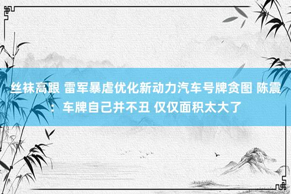 丝袜高跟 雷军暴虐优化新动力汽车号牌贪图 陈震：车牌自己并不丑 仅仅面积太大了