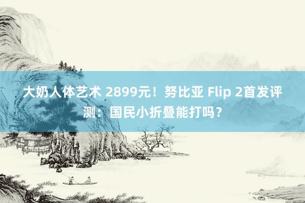 大奶人体艺术 2899元！努比亚 Flip 2首发评测：国民小折叠能打吗？
