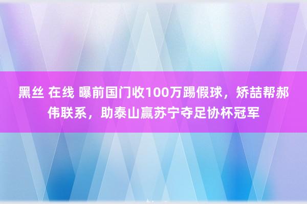 黑丝 在线 曝前国门收100万踢假球，矫喆帮郝伟联系，助泰山赢苏宁夺足协杯冠军
